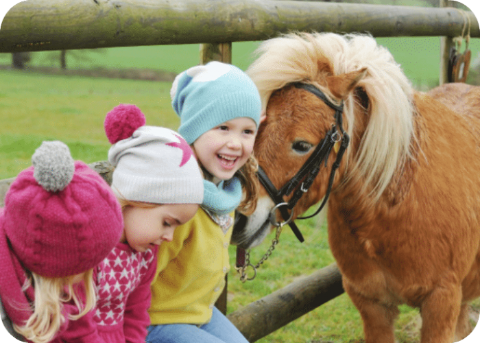 Pony Rides