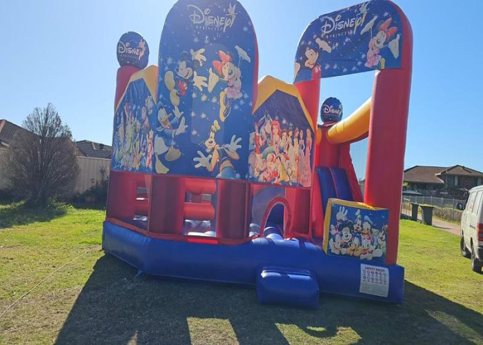 Big Disney Jumping Castle