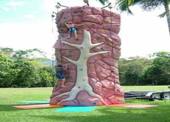 Rock Climbing Wall